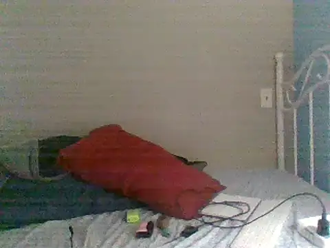 Snapshot of SmokingSloth chatting on February 9, 2025, 3:01 pm SmokingSloth online show from February 9, 2025, 3:01 pm