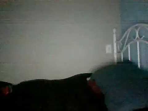 Snapshot of SmokingSloth chatting on March 16, 2025, 11:27 am SmokingSloth online show from March 16, 2025, 11:27 am