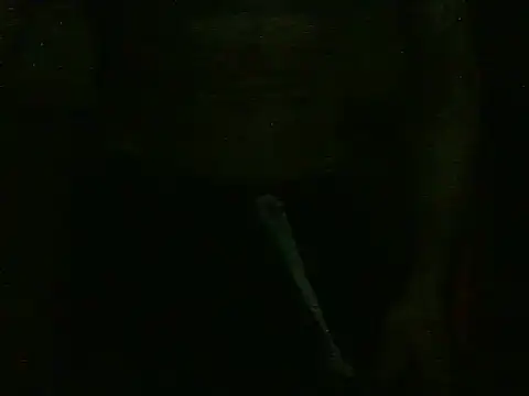 Snapshot of dangerman94 chatting on October 22, 2025, 2:34 am dangerman94 online show from October 22, 2025, 2:34 am