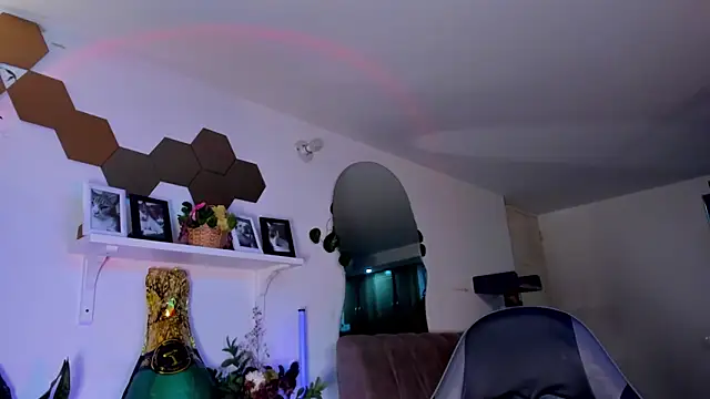 evy orange1 online show from March 21, 2026, 3:00 am