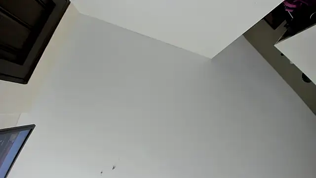 evely coelloo online show from November 7, 2025, 4:51 pm