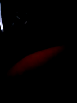 pascalino100 online show from April 4, 2026, 12:02 pm