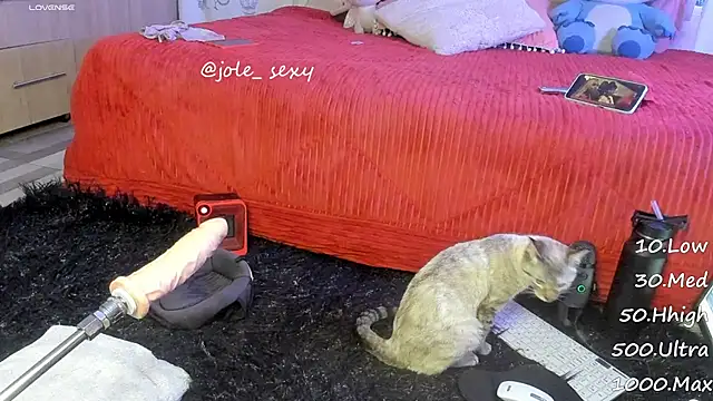 Snapshot of jolee__ chatting on January 10, 2025, 6:31 am jolee online show from January 10, 2025, 6:31 am