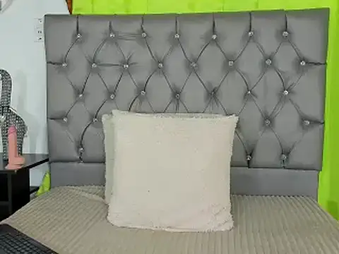 Snapshot of any_rox chatting on February 28, 2025, 3:37 pm any rox online show from February 28, 2025, 3:37 pm