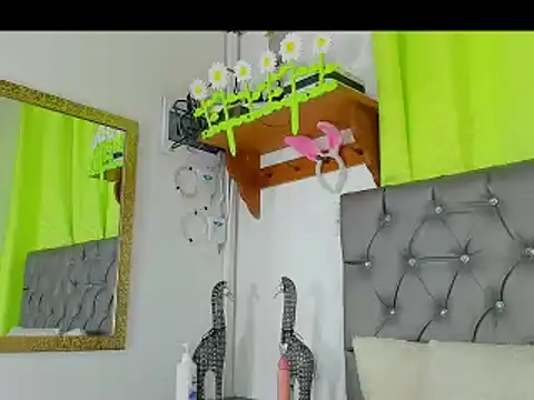 Snapshot of any_rox chatting on March 20, 2025, 4:09 pm any rox online show from March 20, 2025, 4:09 pm