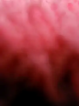 Snapshot of eric69_69 chatting on March 5, 2025, 3:29 pm eric69 69 online show from March 5, 2025, 3:29 pm