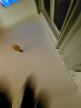 Snapshot of eric69_69 chatting on November 7, 2025, 12:32 am eric69 69 online show from November 7, 2025, 12:32 am