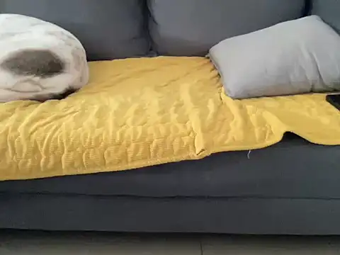 4small4inchlol online show from October 13, 2025, 10:48 am