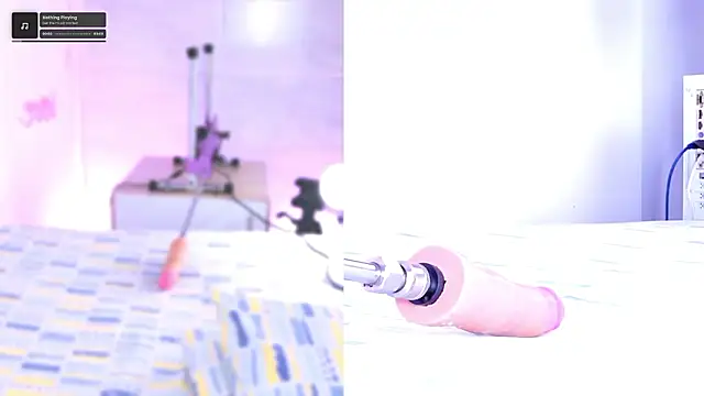 pamela cm online show from February 28, 2026, 11:55 am