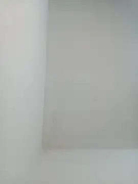 igor miller20 online show from February 1, 2025, 9:29 pm