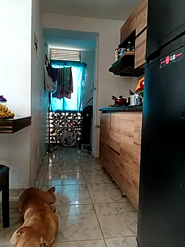 LEIRIS Y FRED 01 online show from January 19, 2026, 2:43 pm