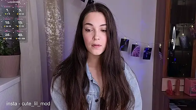 art phoenix online show from February 21, 2026, 9:05 pm