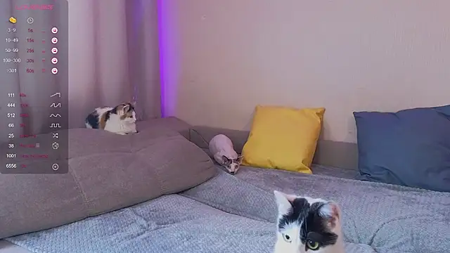 Snapshot of EkaterinaUpple chatting on January 30, 2025, 5:52 am EkaterinaUpple online show from January 30, 2025, 5:52 am