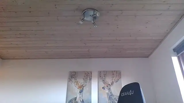 Snapshot of Gotta1 chatting on December 22, 2024, 11:44 am Gotta1 online show from December 22, 2024, 11:44 am