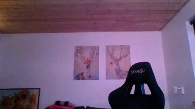 Snapshot of Gotta1 chatting on January 17, 2025, 3:43 pm Gotta1 online show from January 17, 2025, 3:43 pm