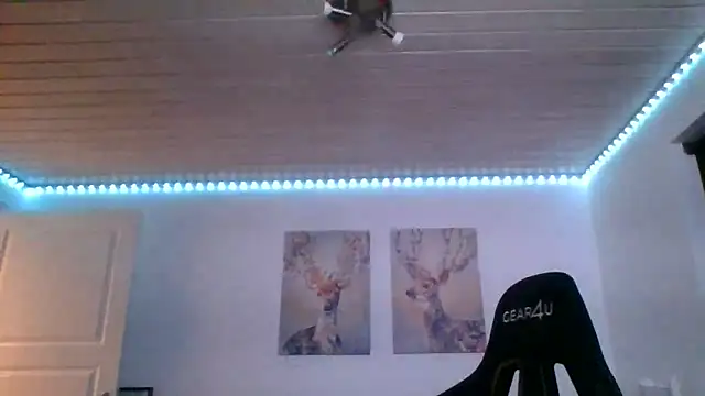 Snapshot of Gotta1 chatting on February 8, 2025, 4:36 pm Gotta1 online show from February 8, 2025, 4:36 pm