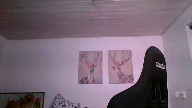 Snapshot of Gotta1 chatting on February 24, 2025, 8:03 pm Gotta1 online show from February 24, 2025, 8:03 pm