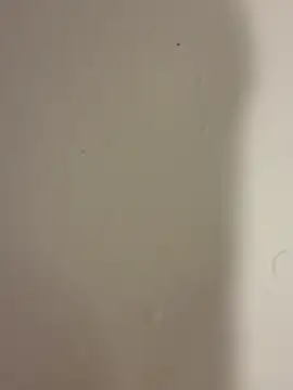 Snapshot of Serkan3356 chatting on February 9, 2026, 12:31 pm Serkan3356 online show from February 9, 2026, 12:31 pm