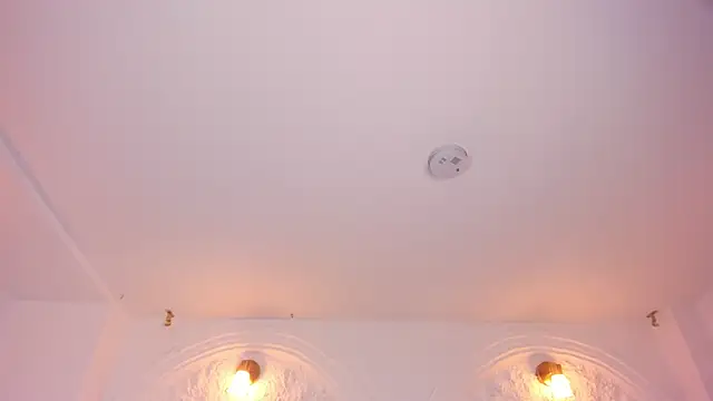 Snapshot of ValeriaVelvet chatting on April 13, 2026, 12:10 pm ValeriaVelvet online show from April 13, 2026, 12:10 pm