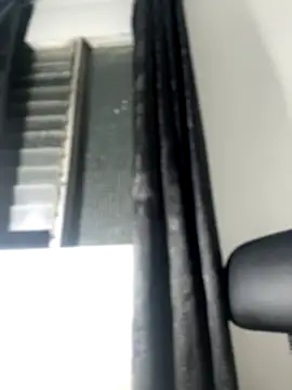 Arilw online show from December 5, 2024, 10:23 am