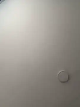 Arilw online show from October 17, 2025, 12:08 pm