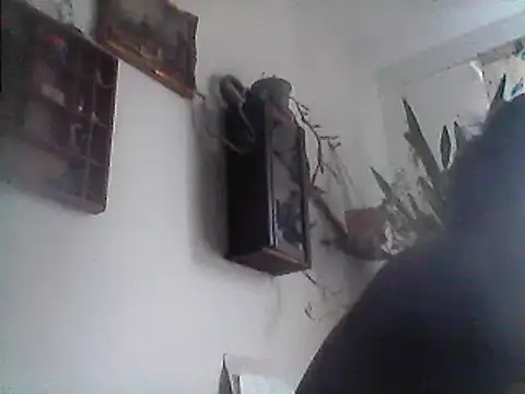 Bigpenis6y online show from December 29, 2024, 1:17 pm