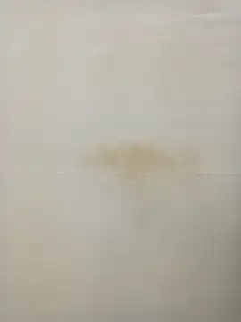 Snapshot of Rina777o chatting on January 27, 2025, 6:31 pm Rina777o online show from January 27, 2025, 6:31 pm