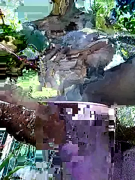 Snapshot of gwadaa9 chatting on December 22, 2025, 6:16 pm gwadaa9 online show from December 22, 2025, 6:16 pm