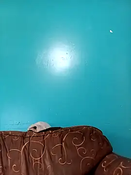 TUMORENO1 online show from September 8, 2025, 8:41 pm