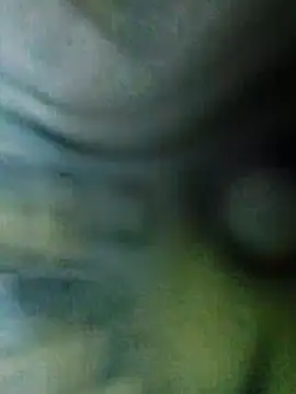 Snapshot of QcMisterv13 chatting on November 24, 2025, 2:39 pm QcMisterv13 online show from November 24, 2025, 2:39 pm