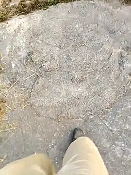 Ishan003 online show from February 5, 2026, 1:32 am