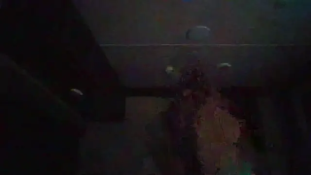 Cobra500hp online show from February 11, 2026, 3:44 am