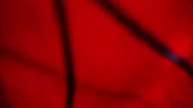 Nathaly love96 online show from February 20, 2026, 7:47 pm