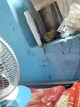 Snapshot of Natasha-In69 chatting on February 6, 2025, 10:43 pm Natasha-In69 online show from February 6, 2025, 10:43 pm