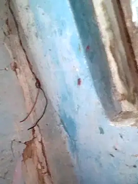 Snapshot of Natasha-In69 chatting on February 6, 2026, 12:15 am Natasha-In69 online show from February 6, 2026, 12:15 am