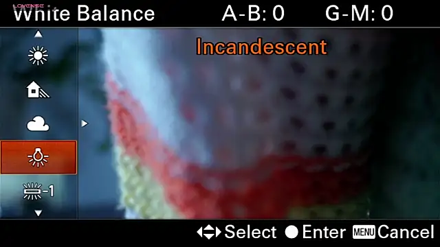 WandaCounsell online show from September 14, 2025, 1:16 am