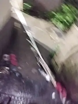 Snapshot of Alokraj373990 chatting on November 1, 2025, 7:16 pm Alokraj373990 online show from November 1, 2025, 7:16 pm