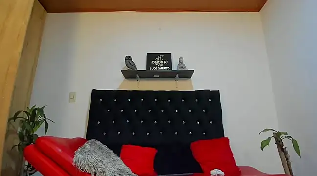 Snapshot of julian_wallace chatting on February 18, 2025, 4:48 pm julian wallace online show from February 18, 2025, 4:48 pm