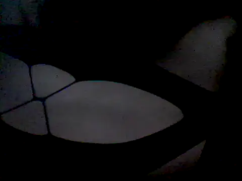 Snapshot of luniaitaliax3 chatting on January 7, 2025, 12:13 am luniaitaliax3 online show from January 7, 2025, 12:13 am