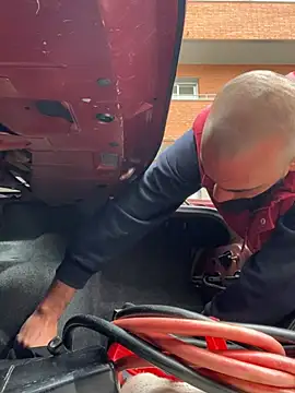 Snapshot of donnuozfutura chatting on February 11, 2025, 12:58 pm donnuozfutura online show from February 11, 2025, 12:58 pm