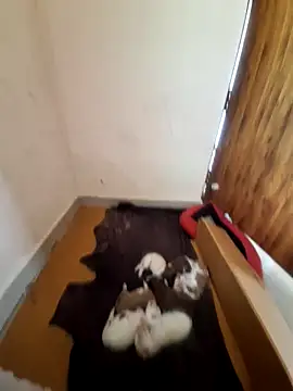 inba99tamil online show from September 18, 2025, 6:37 am