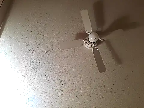 Snapshot of big8dall chatting on October 22, 2025, 7:52 am big8dall online show from October 22, 2025, 7:52 am