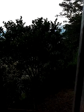 Snapshot of AuroraBon chatting on December 10, 2024, 11:22 am AuroraBon online show from December 10, 2024, 11:22 am