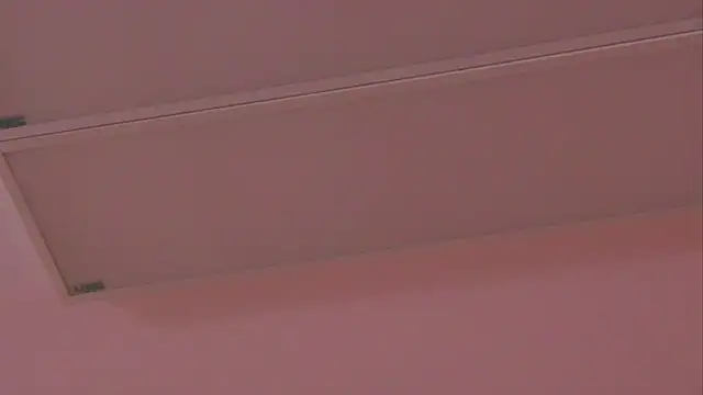 Snapshot of AngeliqueSkye chatting on January 23, 2025, 12:52 pm AngeliqueSkye online show from January 23, 2025, 12:52 pm