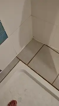 Snapshot of Ariete80s chatting on February 21, 2025, 3:32 pm Ariete80s online show from February 21, 2025, 3:32 pm