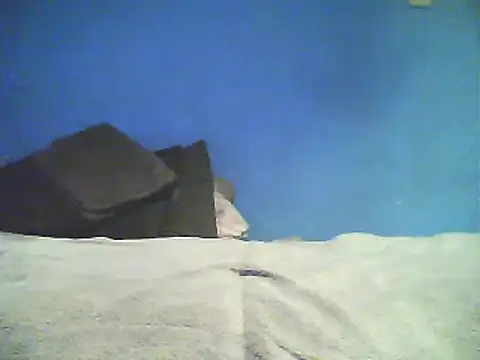 Snapshot of Vago745 chatting on December 2, 2024, 10:50 am Vago745 online show from December 2, 2024, 10:50 am