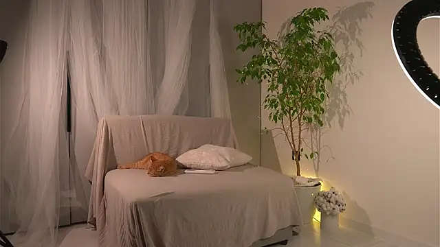 lorrie love story online show from November 24, 2025, 11:21 am