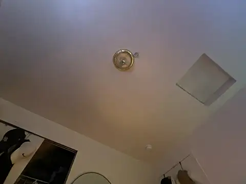 Snapshot of ganosex chatting on December 24, 2024, 7:17 am ganosex online show from December 24, 2024, 7:17 am