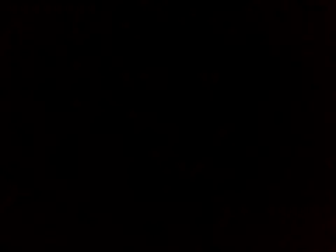 sammymoon online show from December 20, 2024, 1:11 pm