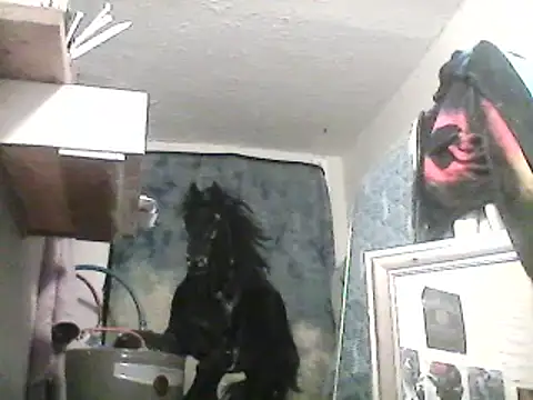 Snapshot of lilbishmiss chatting on February 13, 2025, 10:12 am lilbishmiss online show from February 13, 2025, 10:12 am